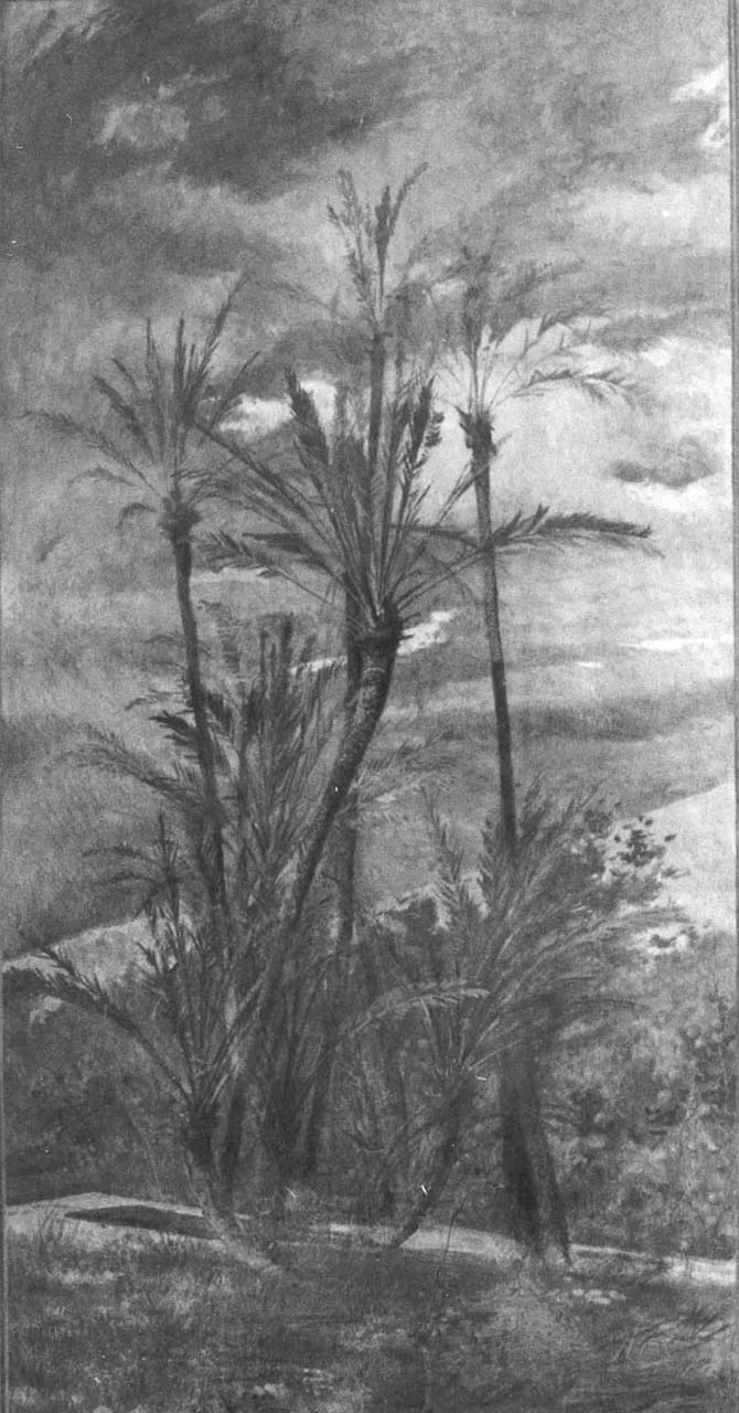 Paesaggio con palme e aranci - Pistoia